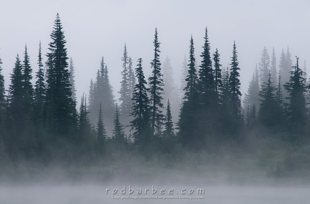 Barbee_090806_3_2043 | Foggy morning on Reflection Lake, Mt. Rainier National Park 