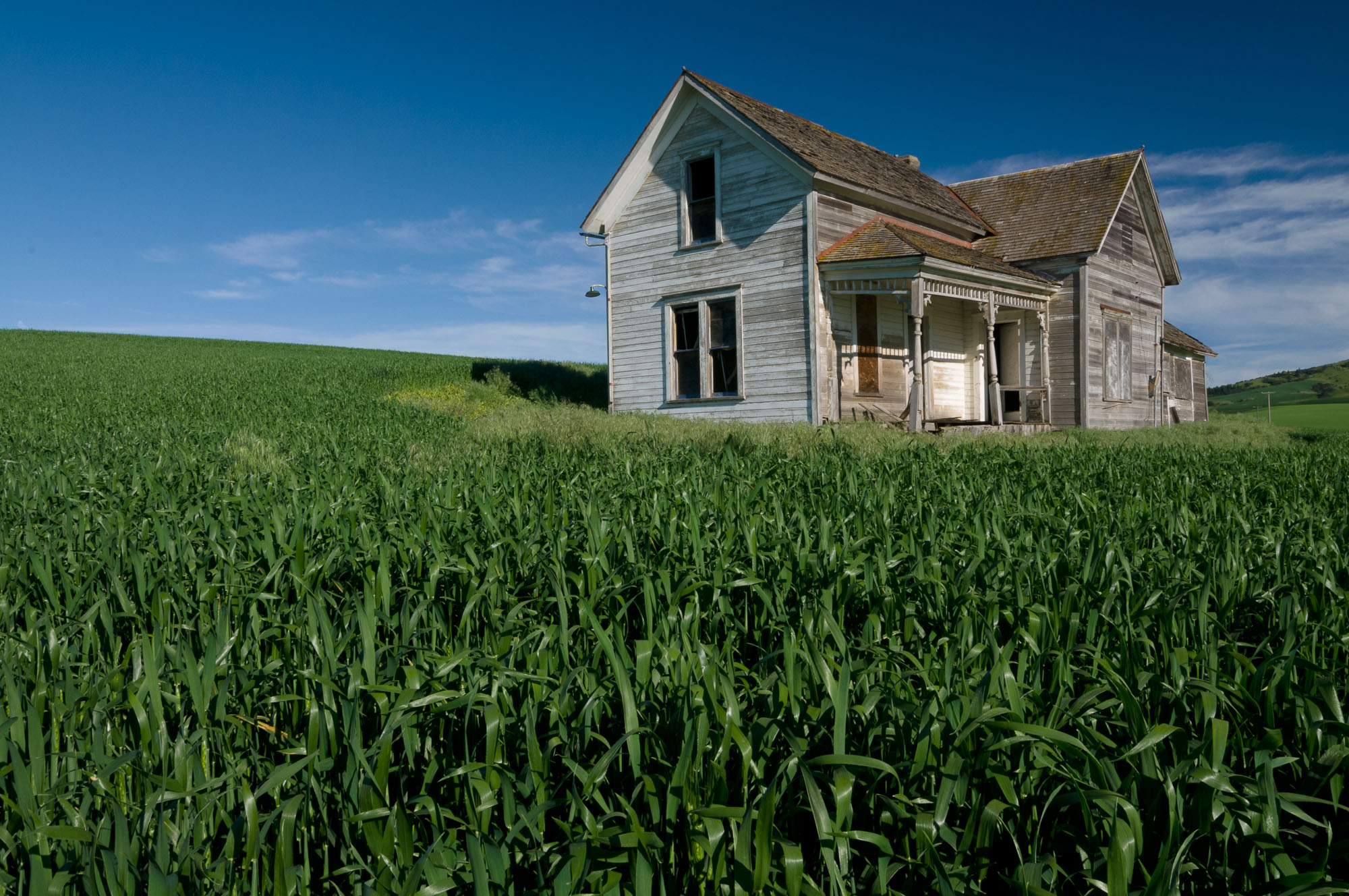 Barbee_100618_3_4464 |  Abandoned house in a wheat field in the Palouse region of south east Washington State.