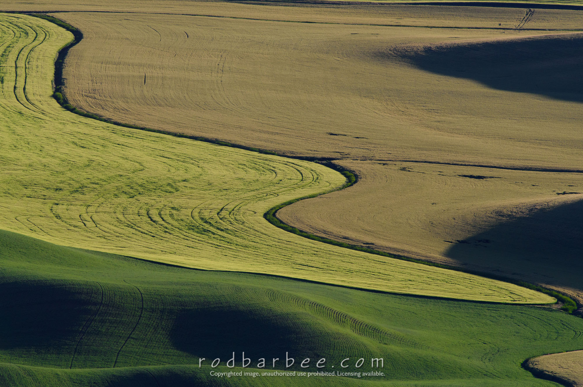 Barbee_160623_4900 |  View from Steptoe Butte