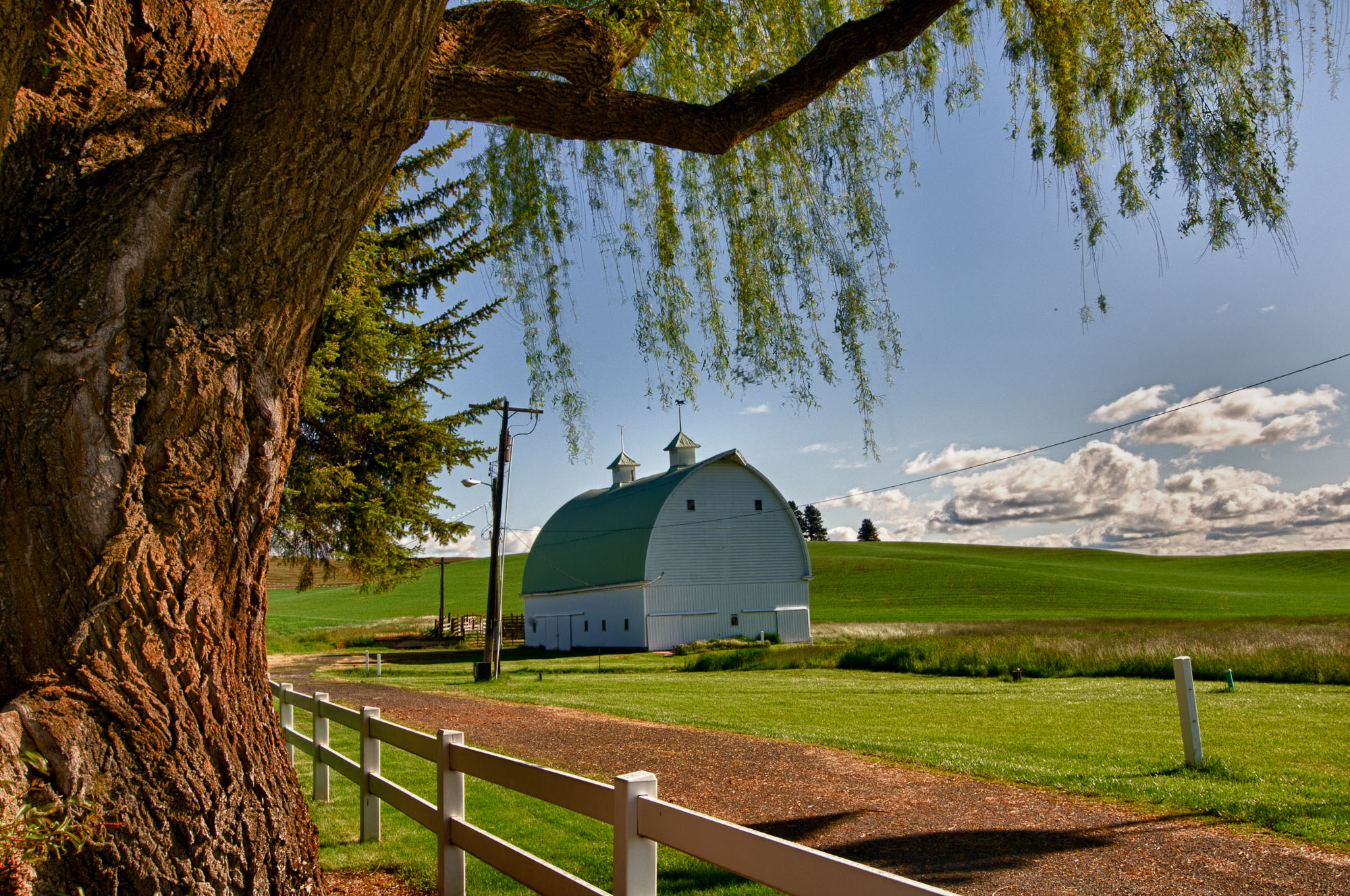 Barbee_110614_3_7407_HDR |  Green and white barn along Hwy 6 in Idaho near Washington border. HDR1